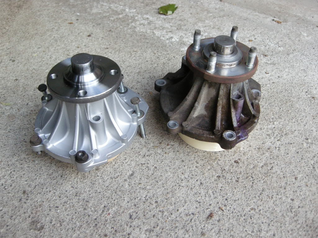 DSCN6142.jpg