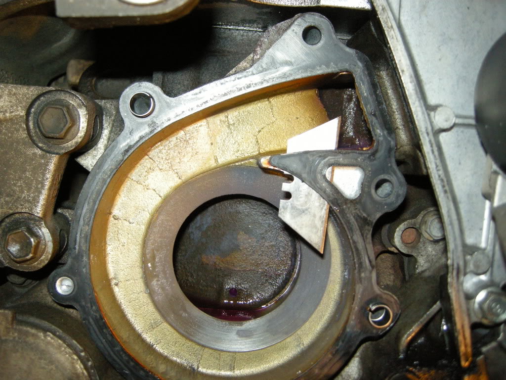 DSCN6149.jpg