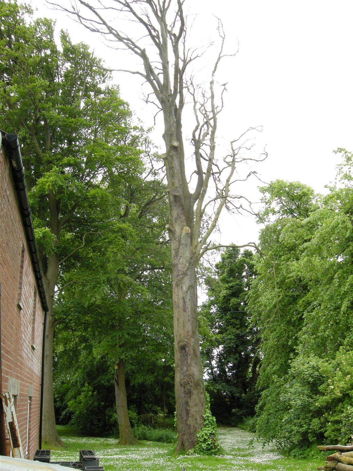DSCN6187.jpg