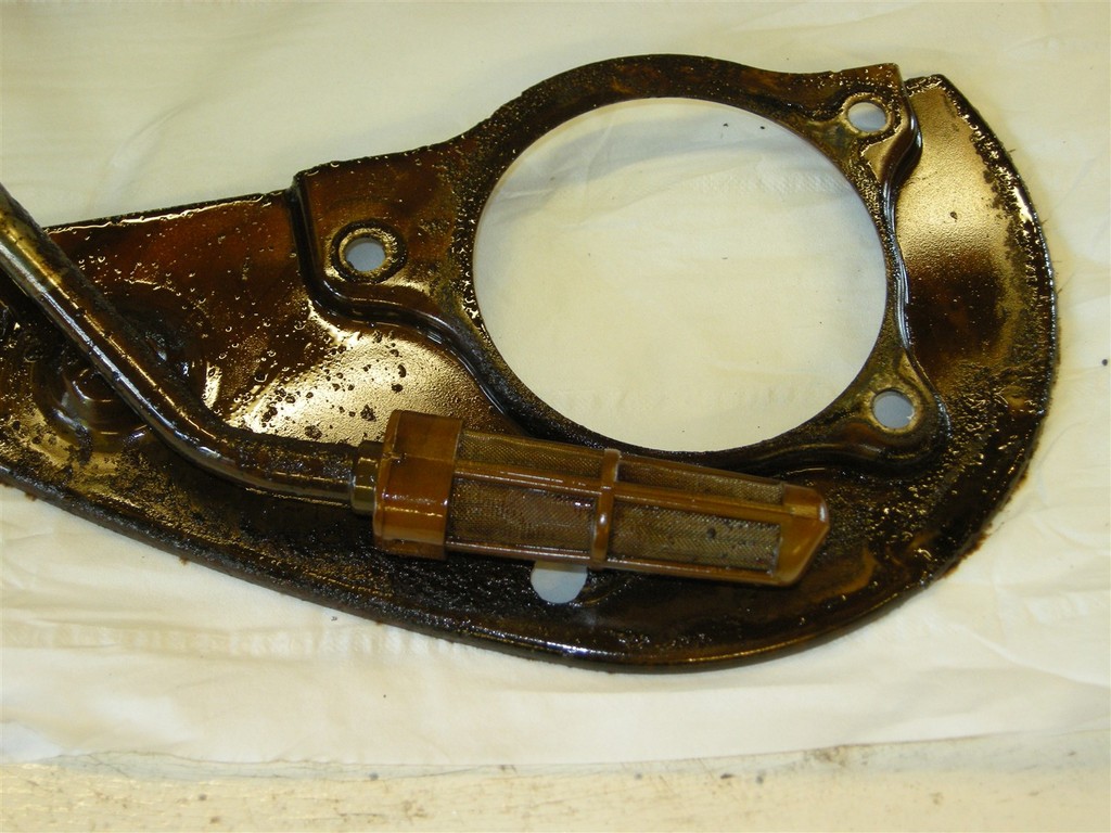DSCN6332_zpsr6dt0pkk.jpg
