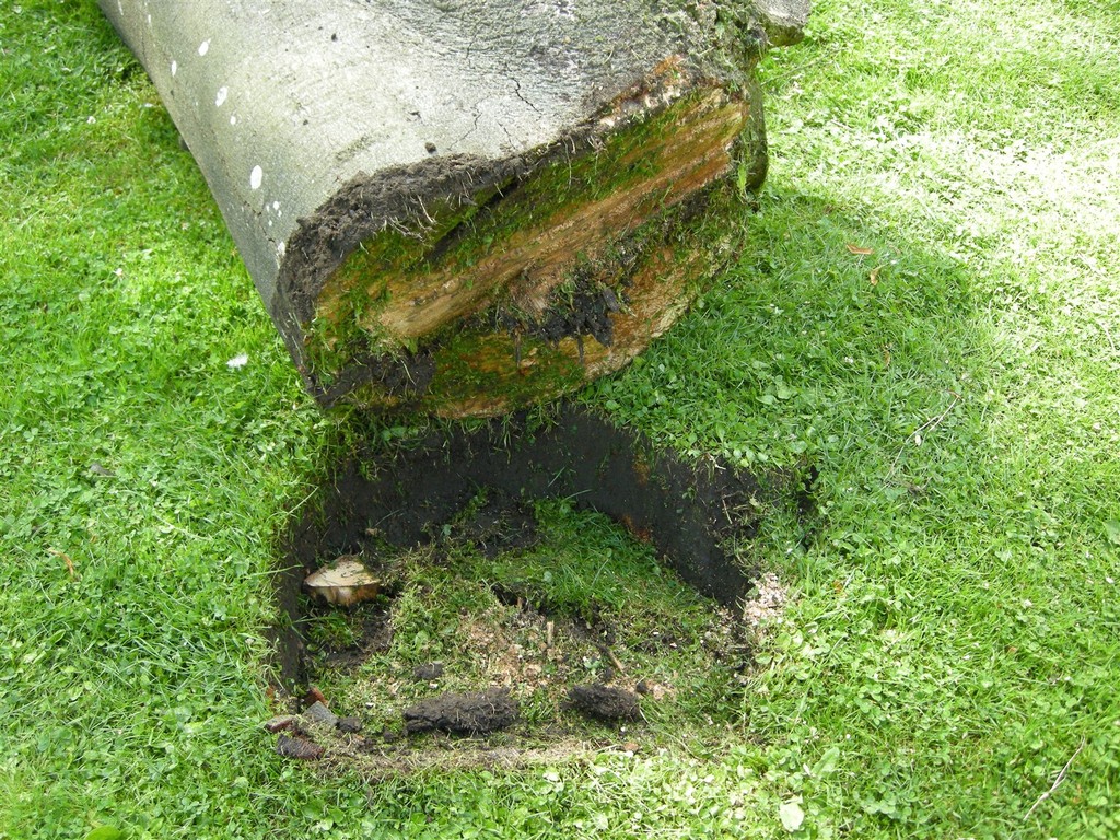 DSCN6417_zpsktgtatof.jpg
