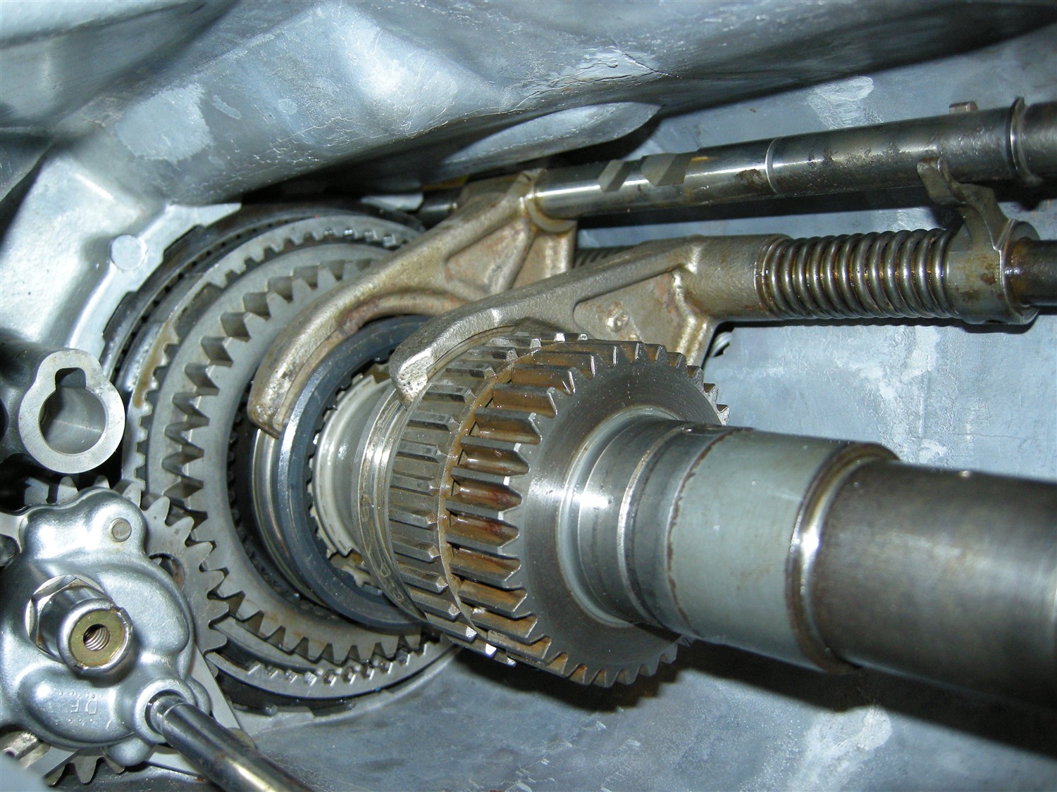 DSCN6486.jpg