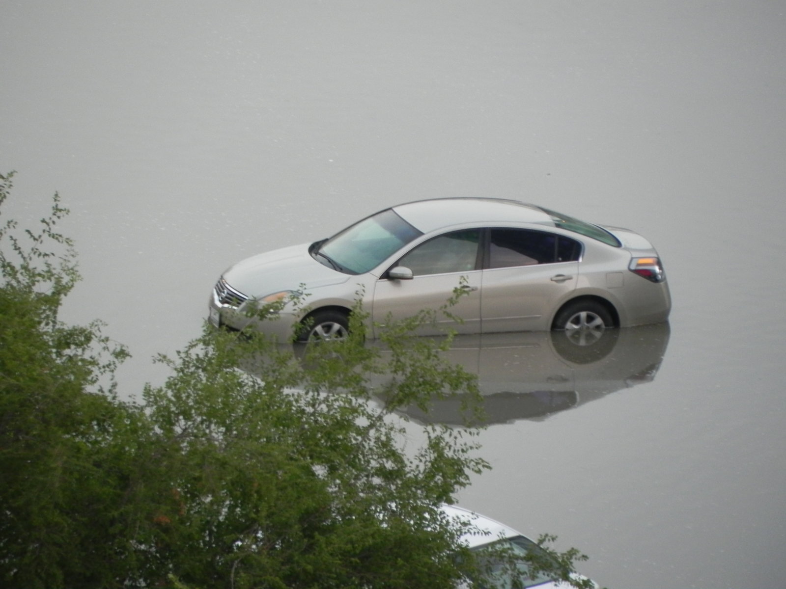 DSCN7182.JPG