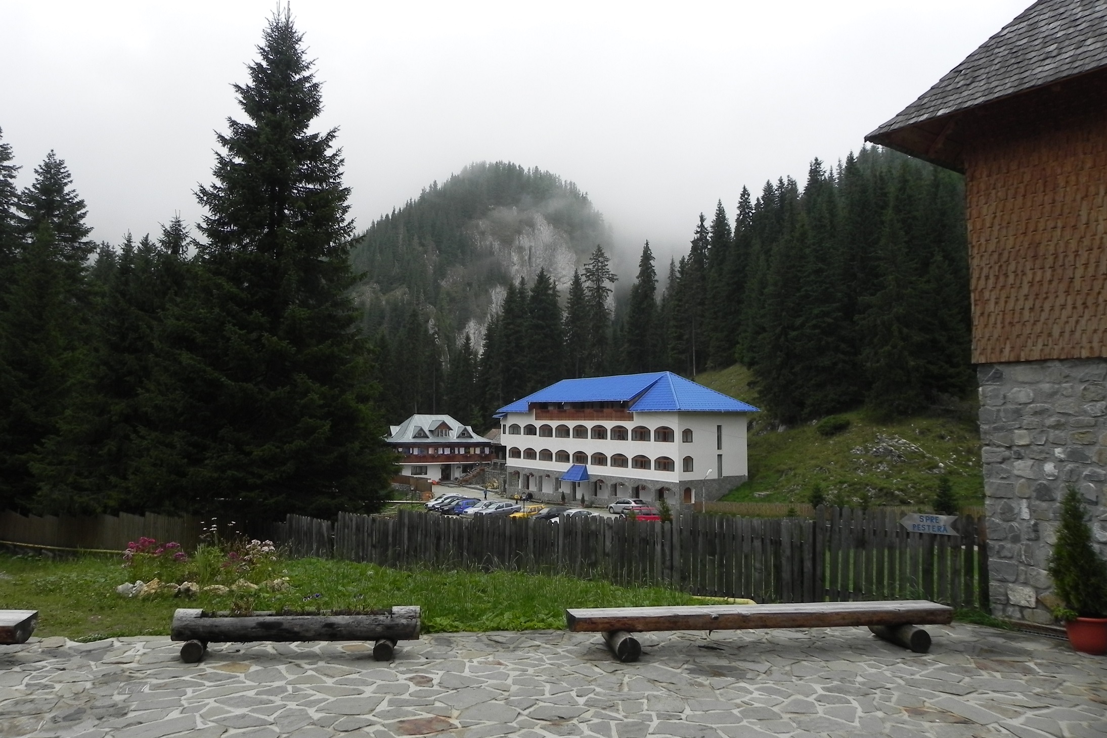 DSCN7206a.JPG