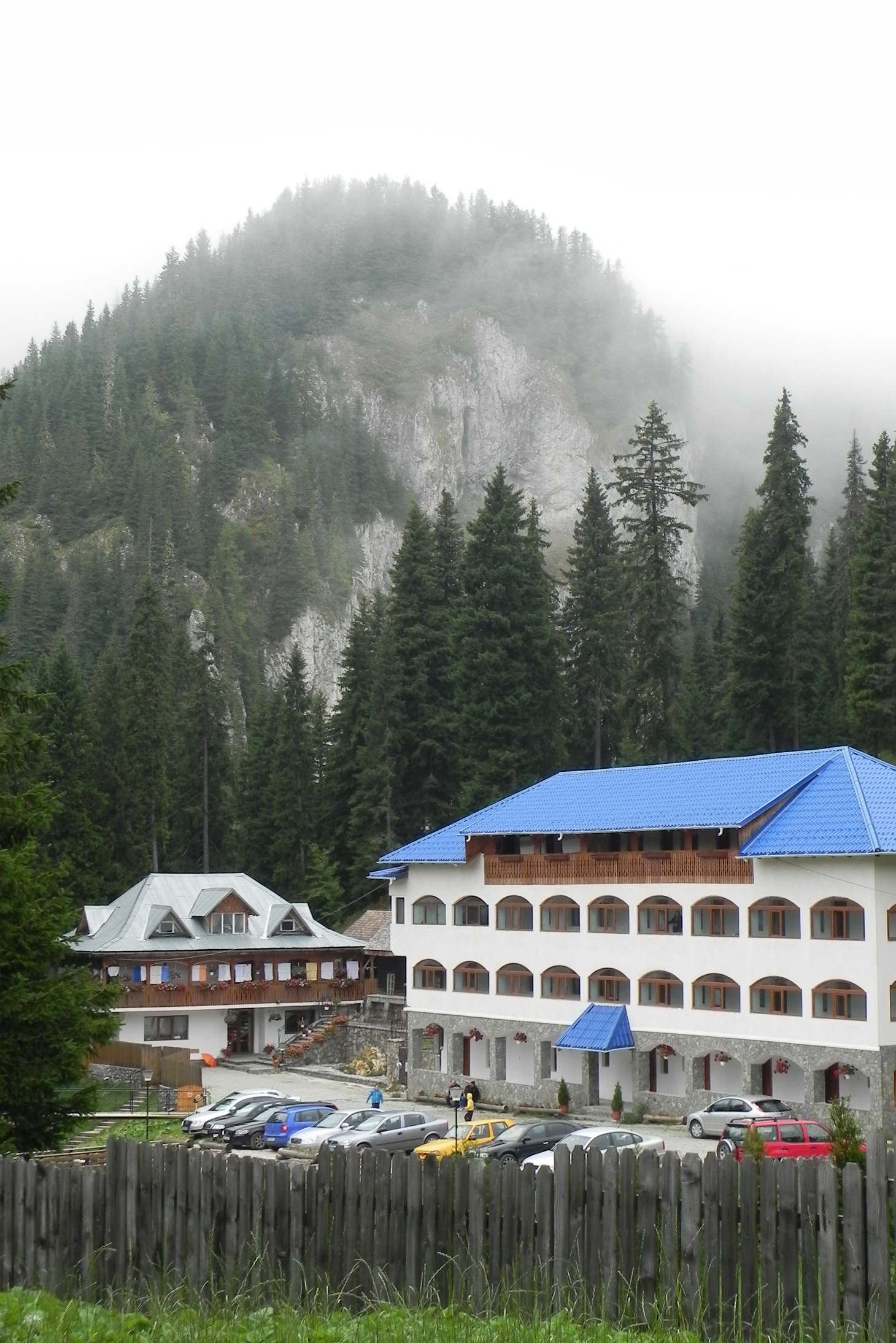 DSCN7208a.JPG