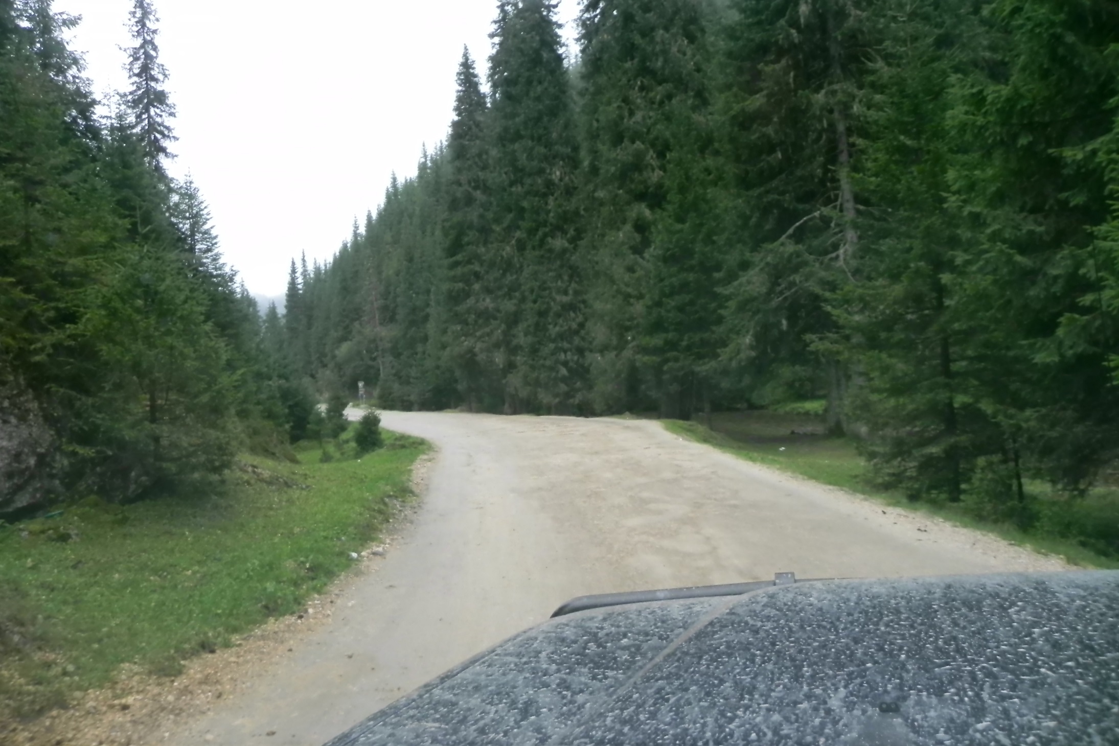 DSCN7221a.JPG