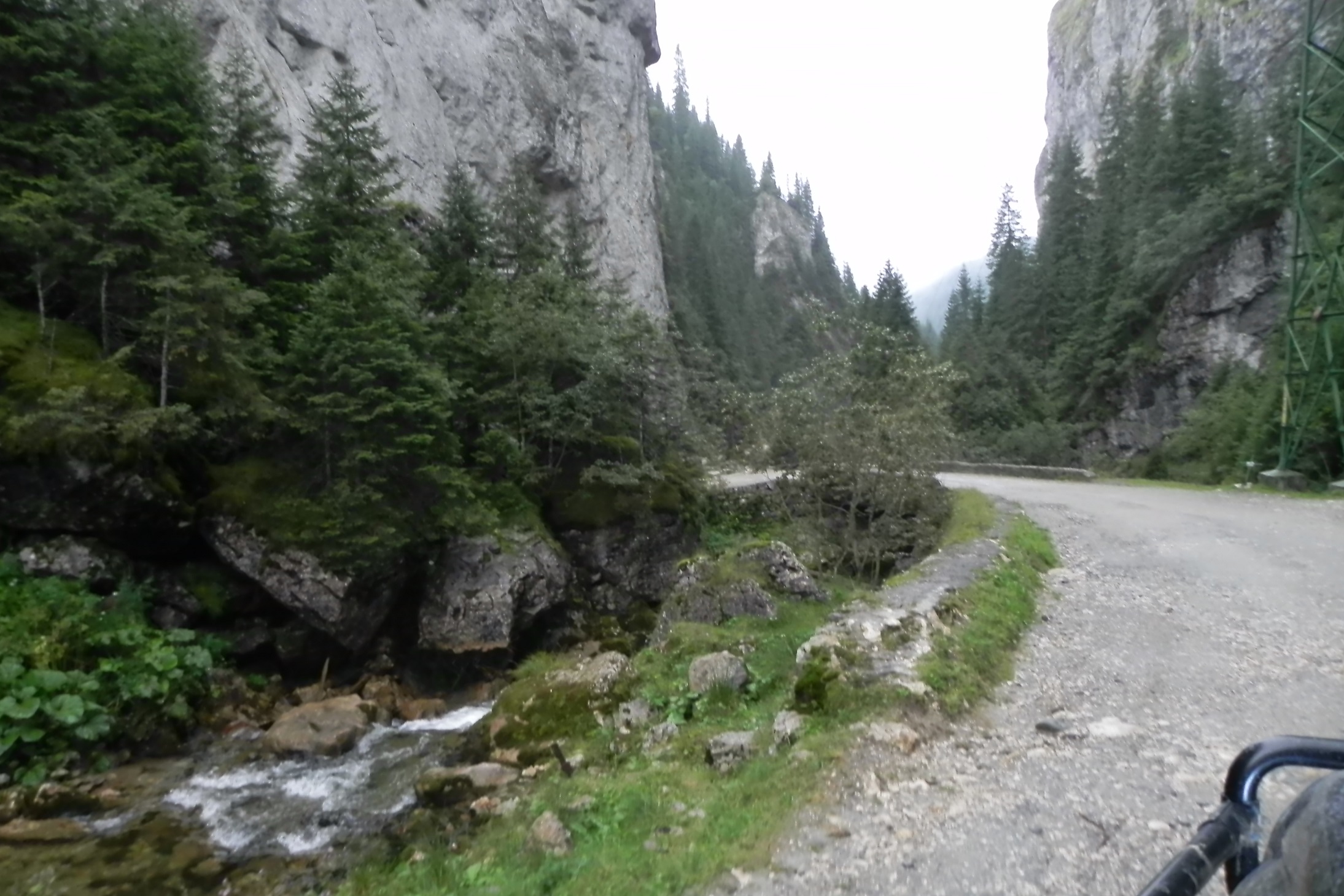 DSCN7225a.JPG