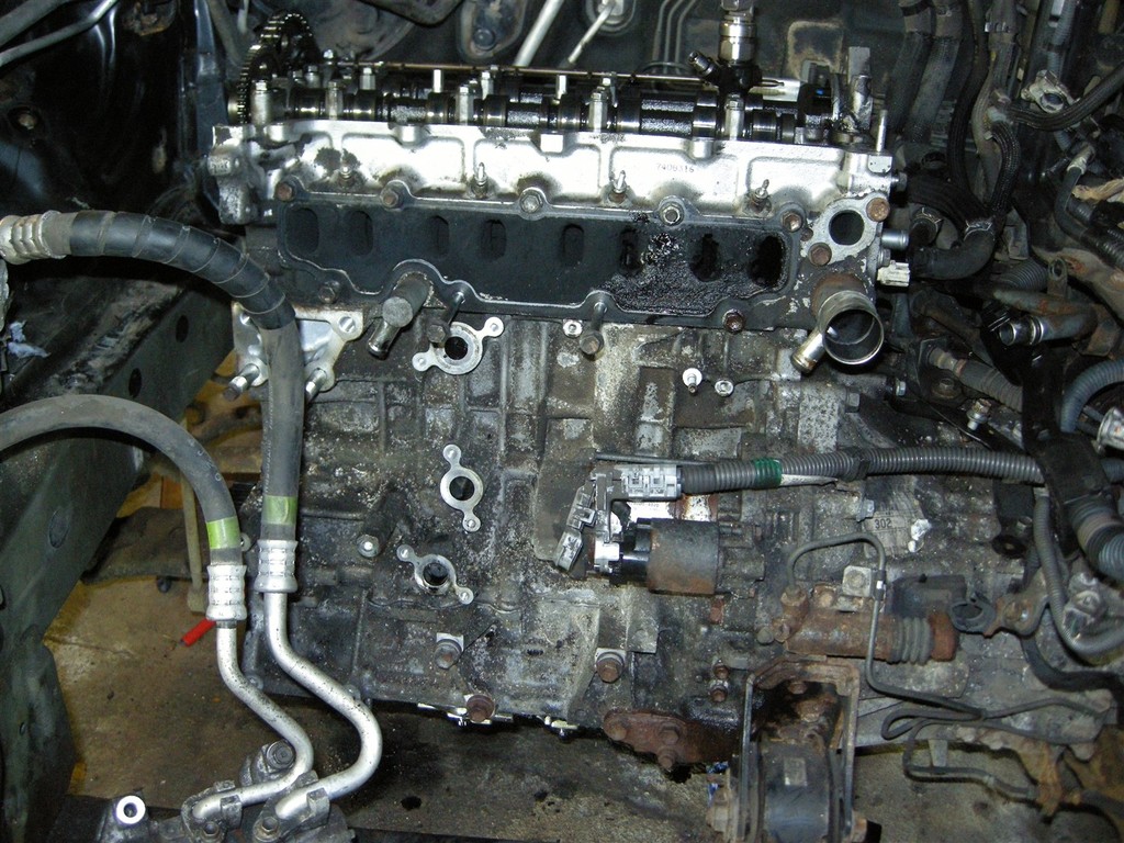 DSCN7245_zpsdkdwudlm.jpg