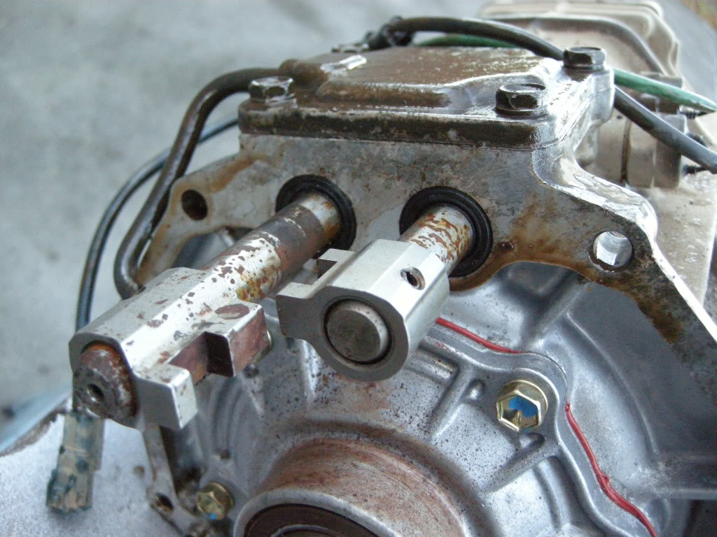 DSCN7440.jpg