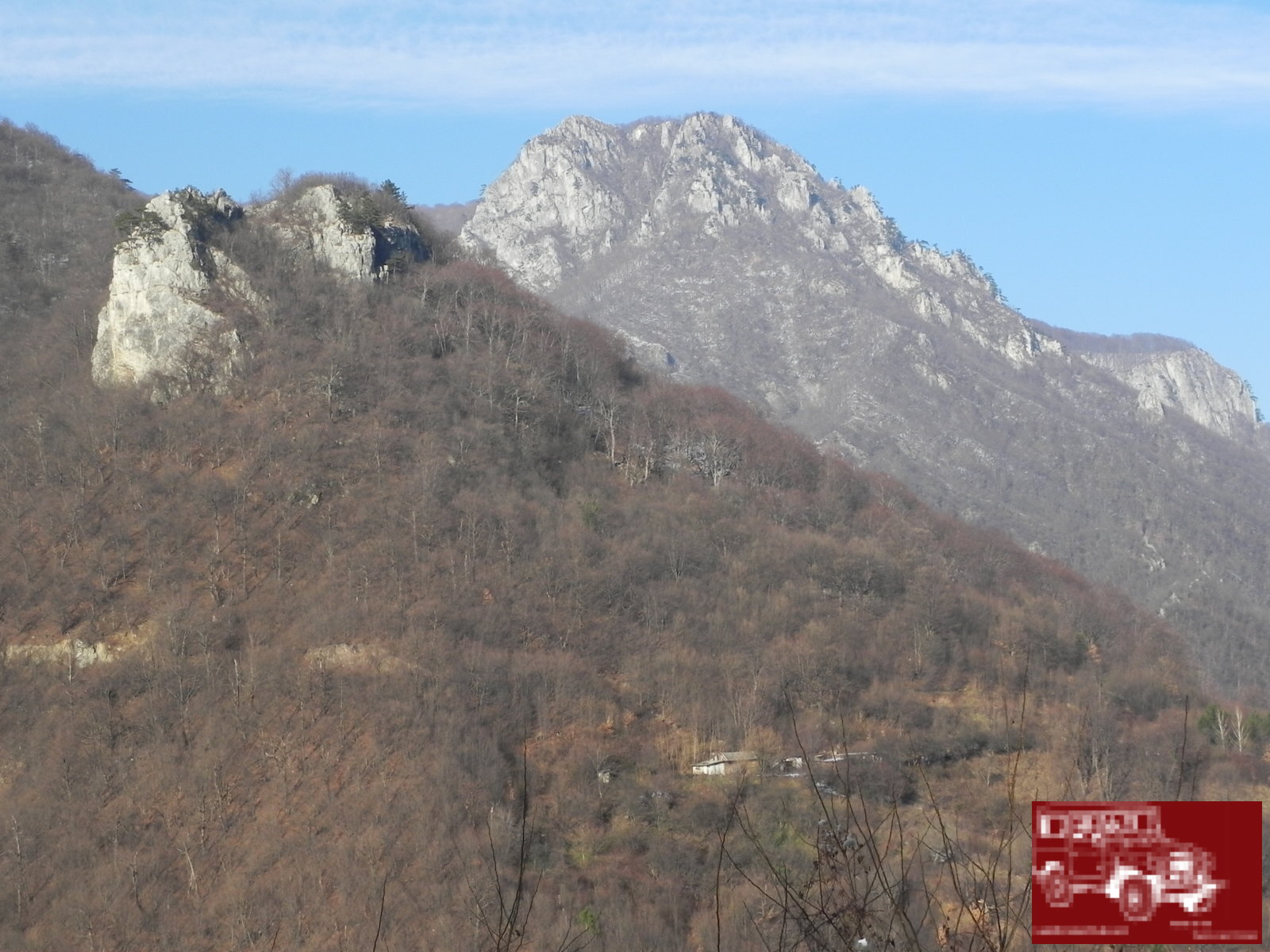 DSCN7445
