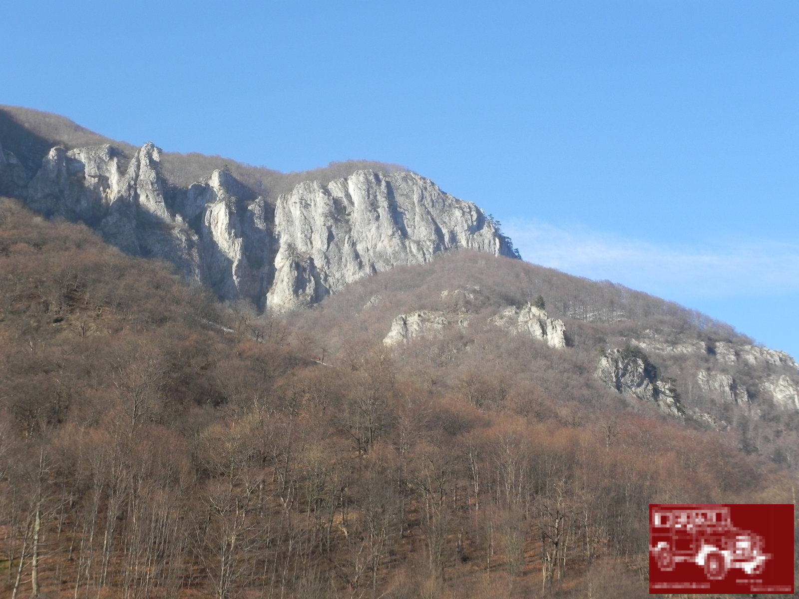 DSCN7467
