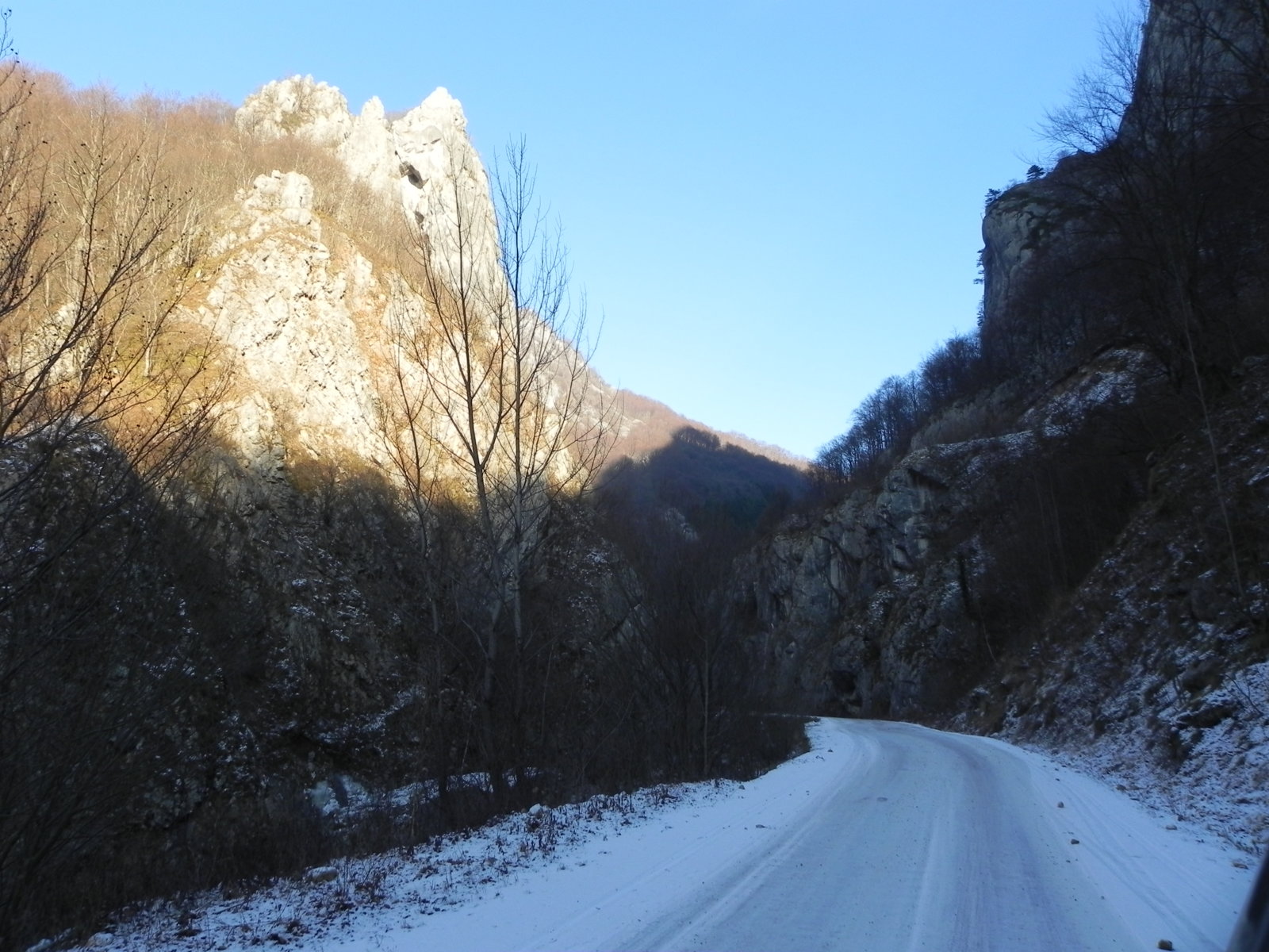 DSCN7490.JPG