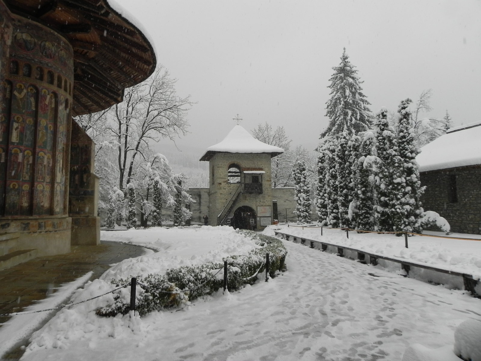 DSCN7580.JPG