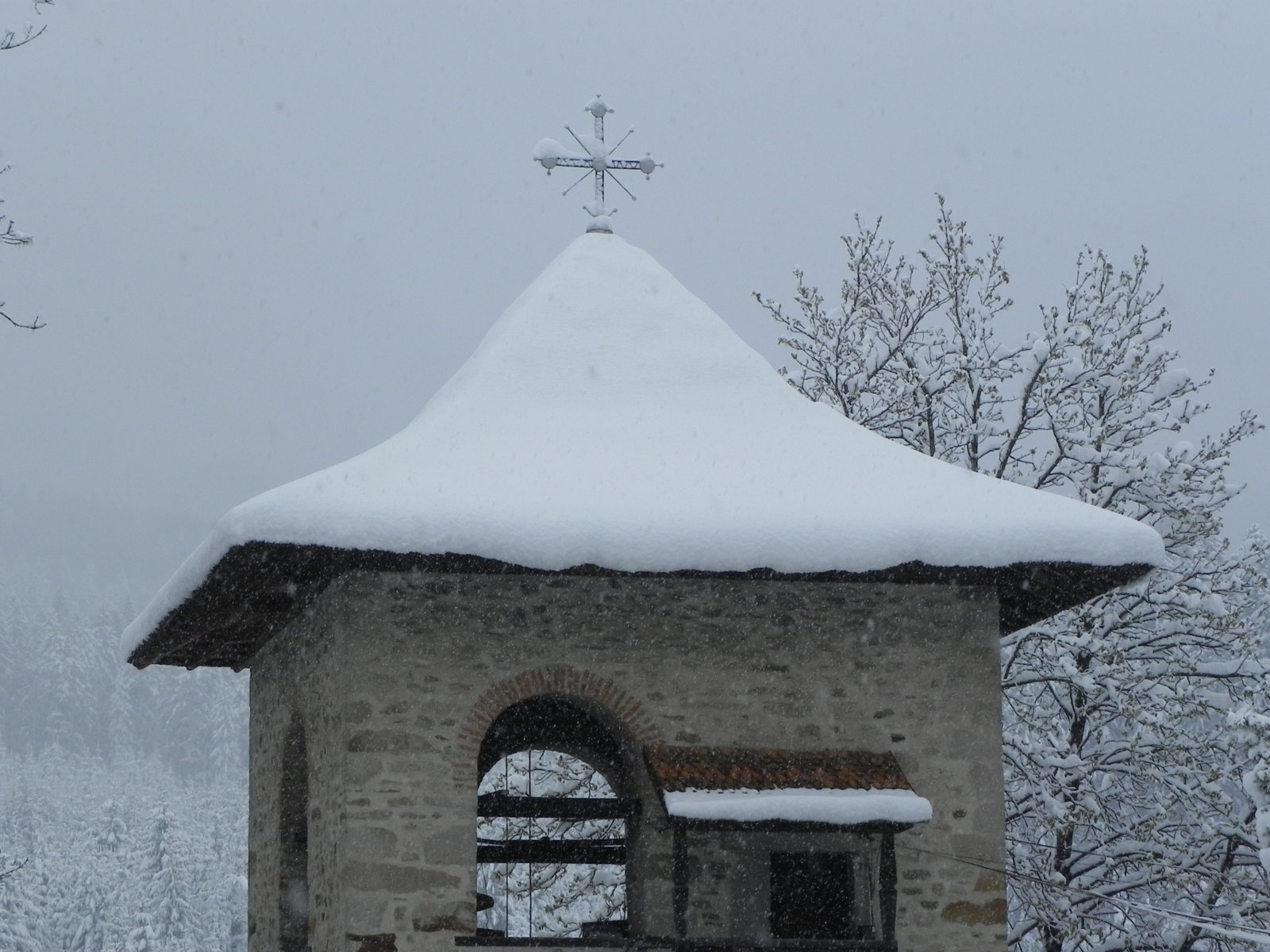 DSCN7581.JPG