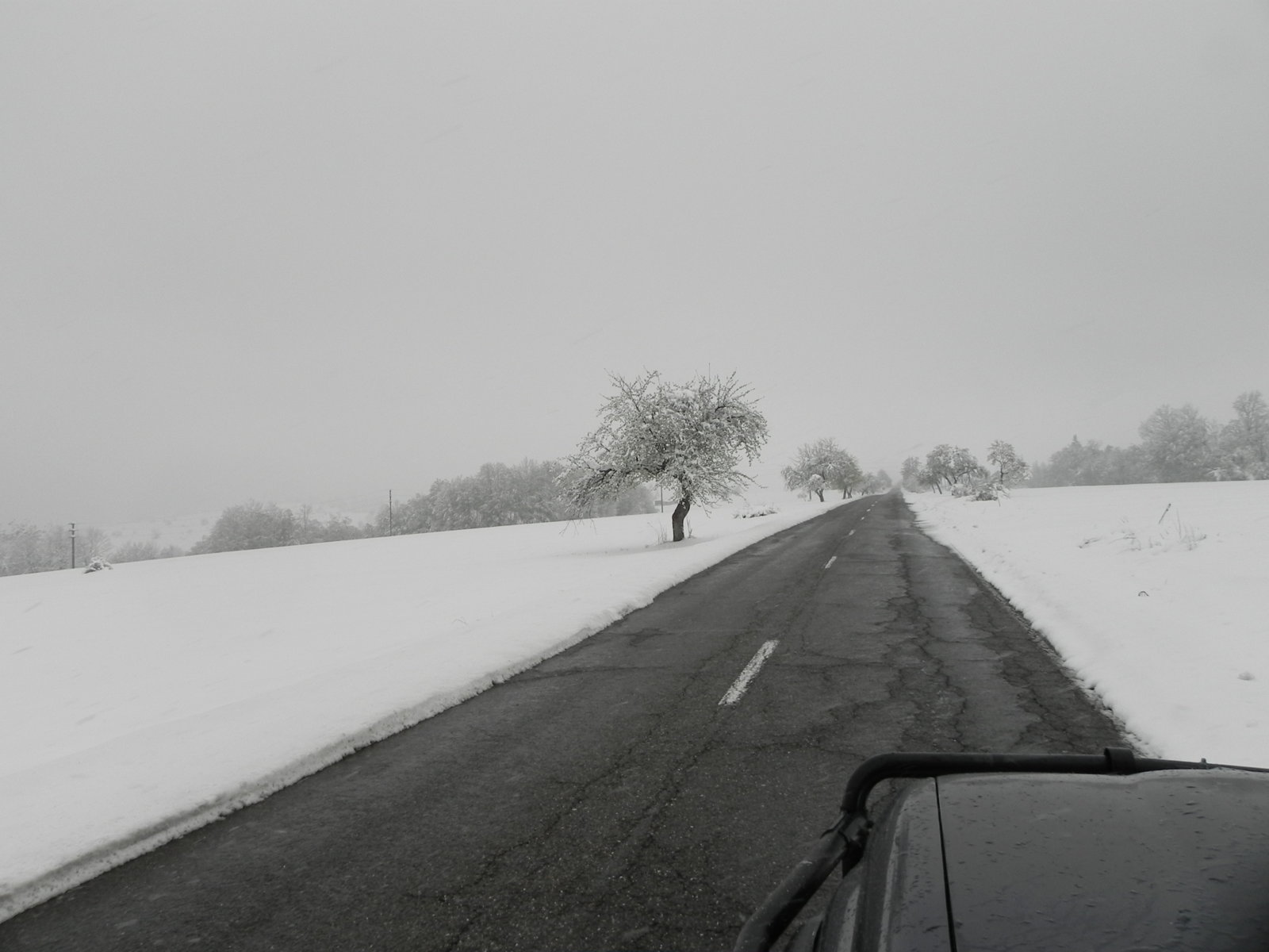 DSCN7594.JPG