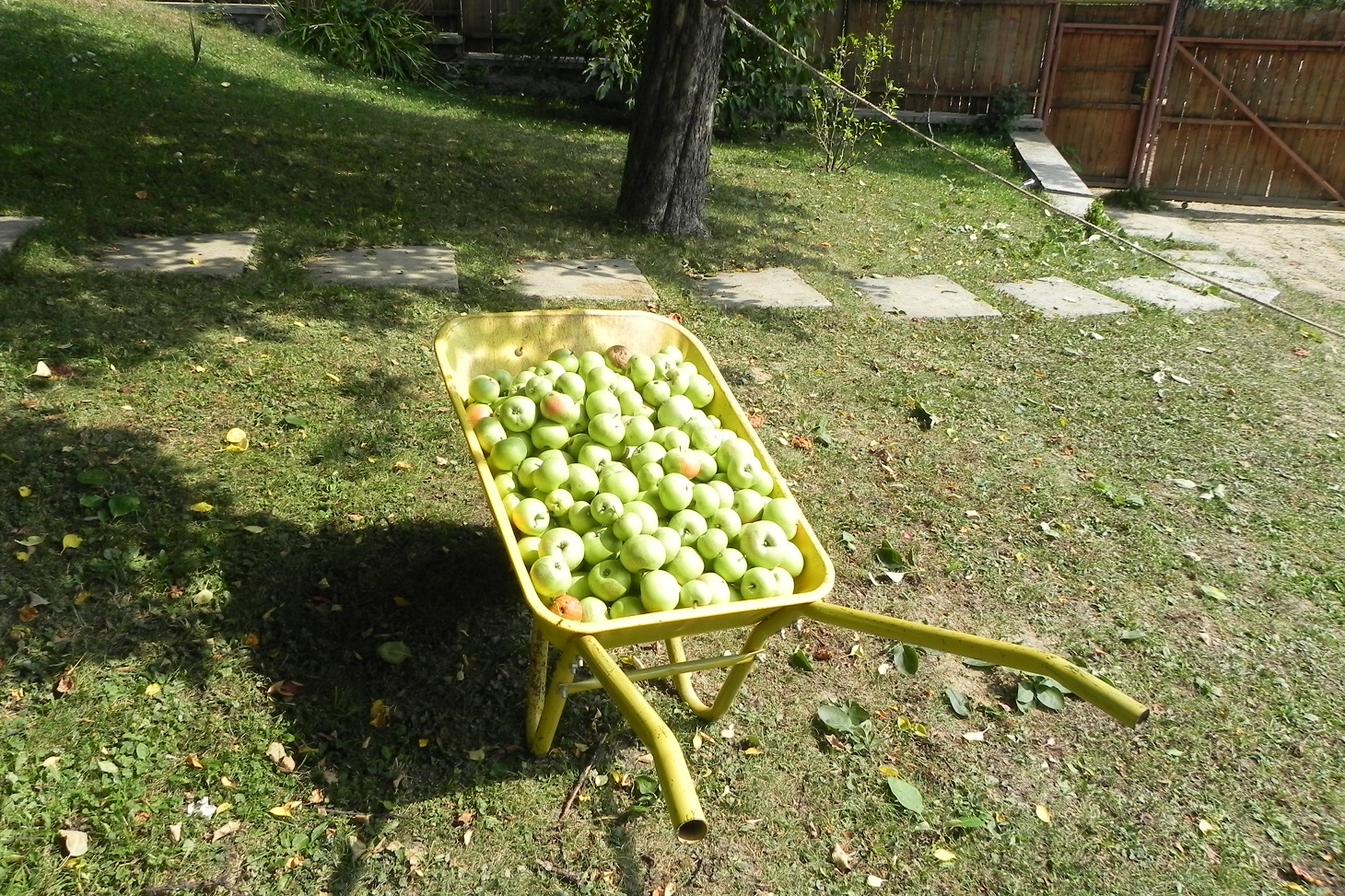 DSCN7631.JPG