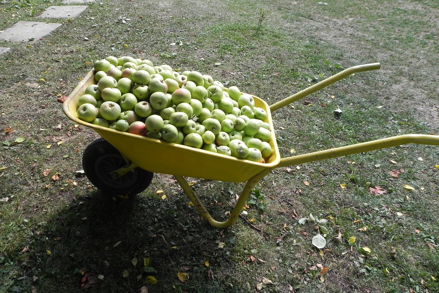 DSCN7635.JPG