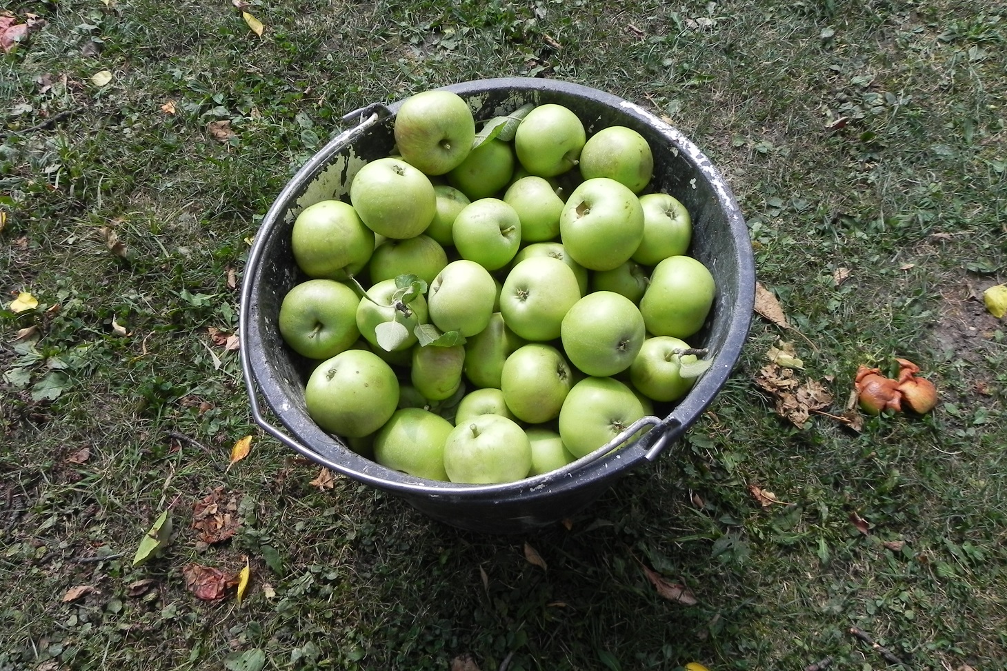 DSCN7636.JPG