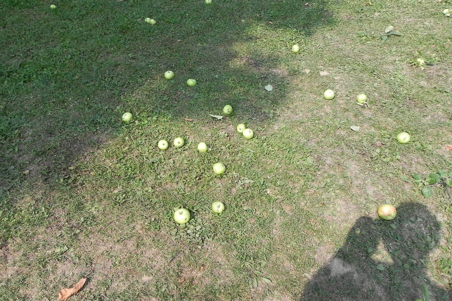 DSCN7637.JPG