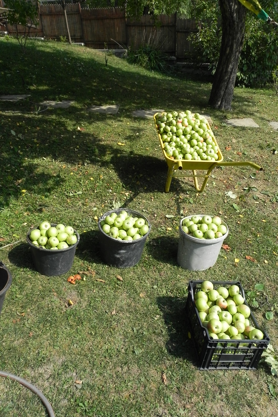 DSCN7640.JPG