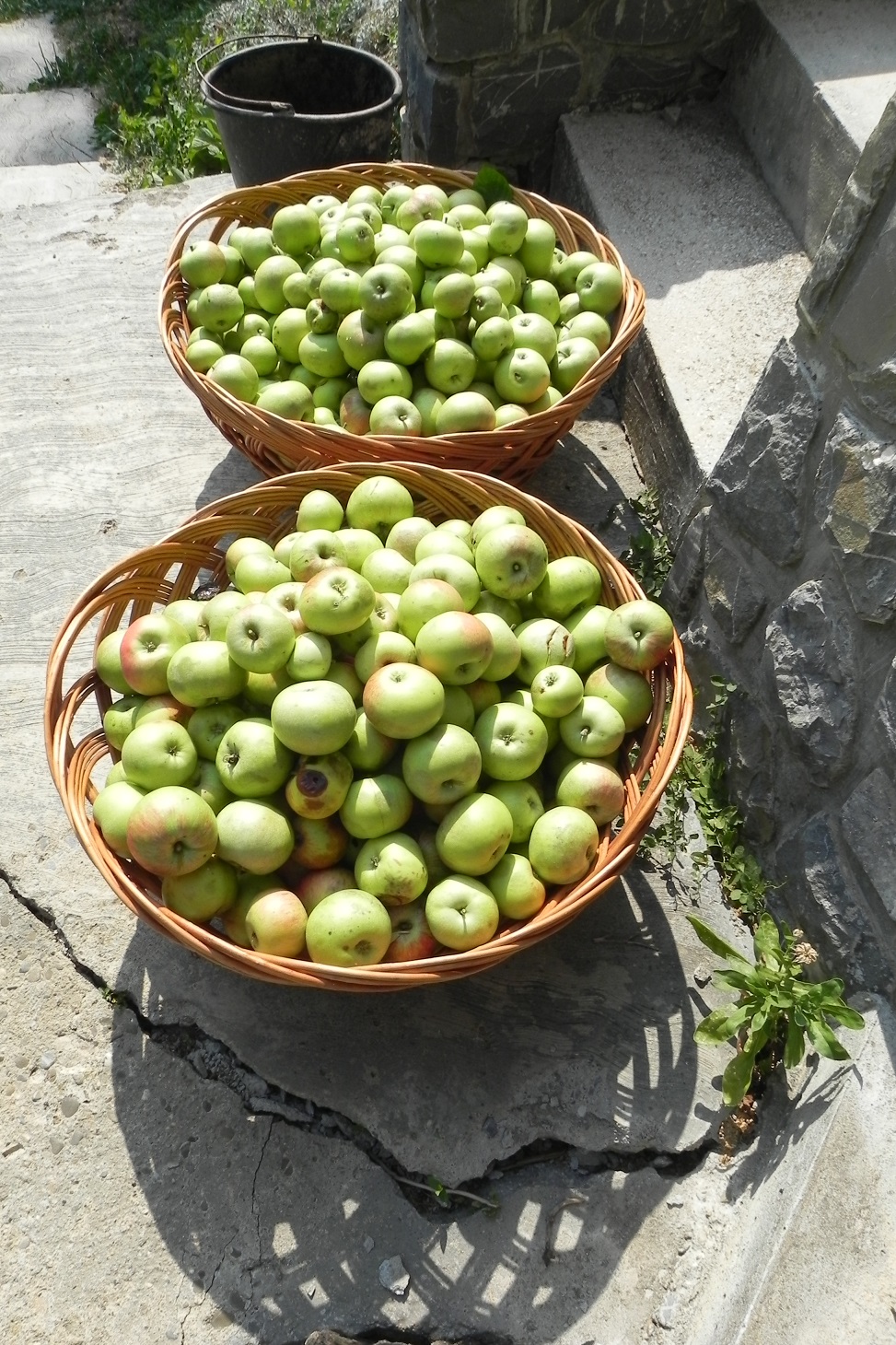 DSCN7644.JPG