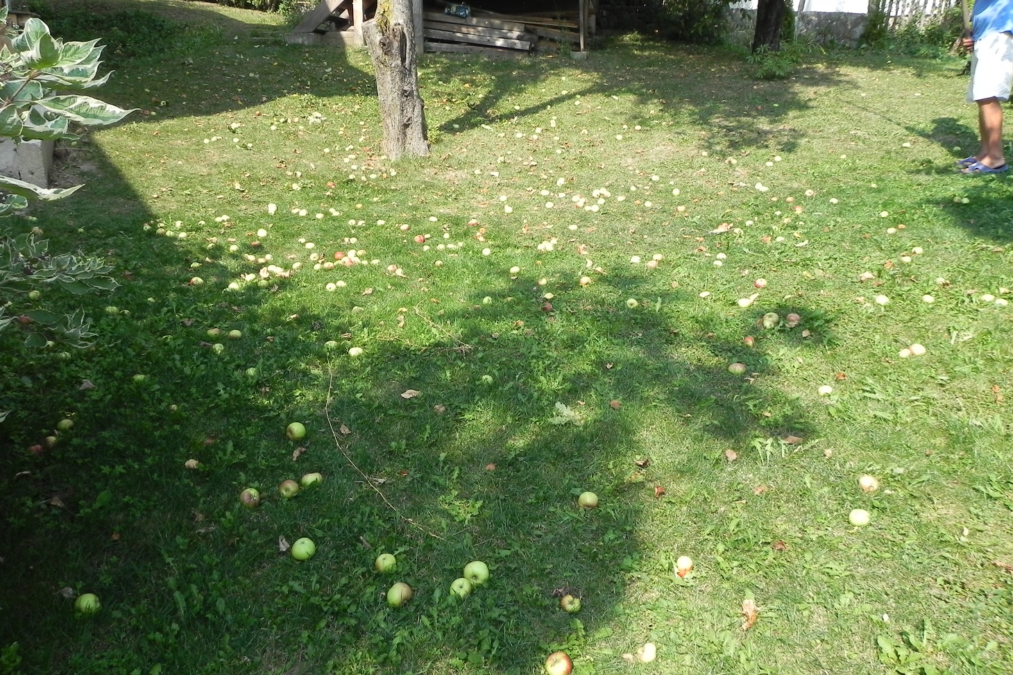DSCN7646.JPG