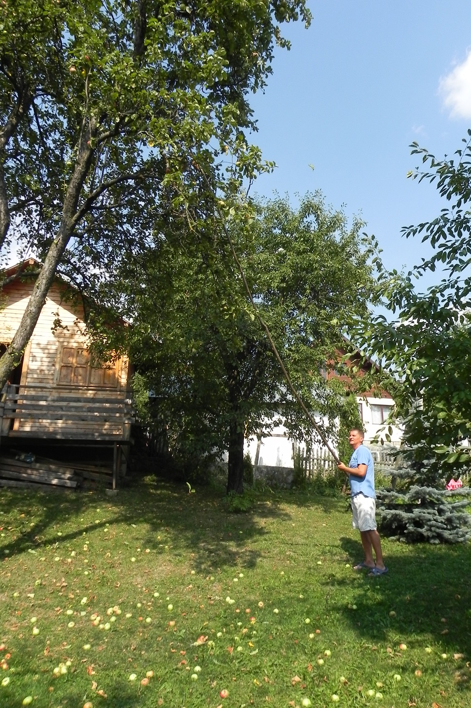 DSCN7647.JPG