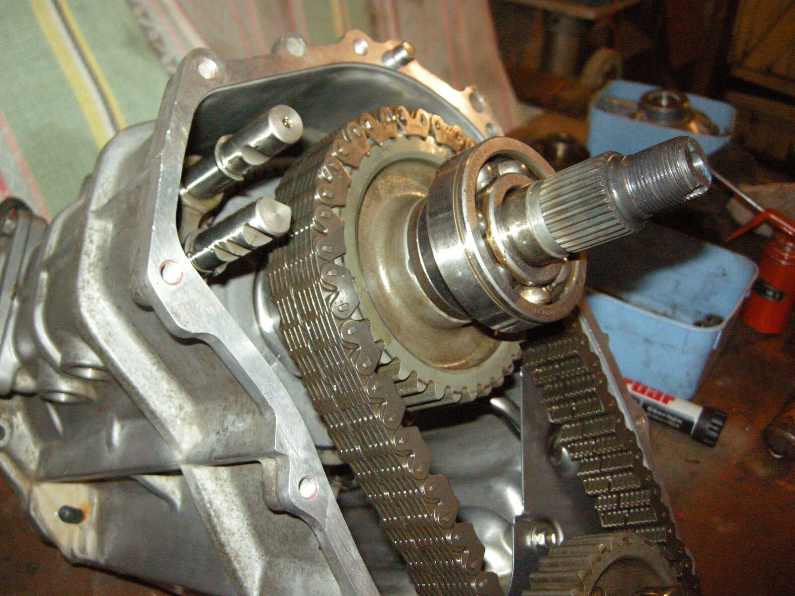DSCN7705.JPG