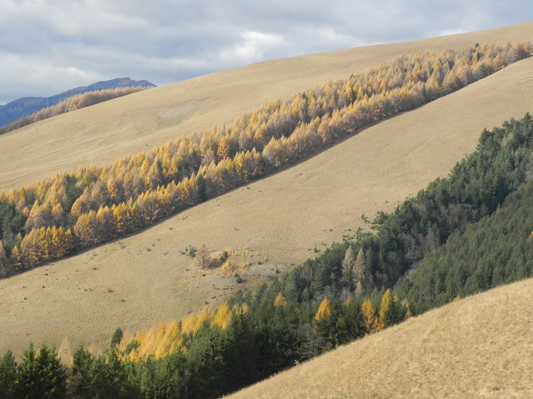 DSCN8081.JPG
