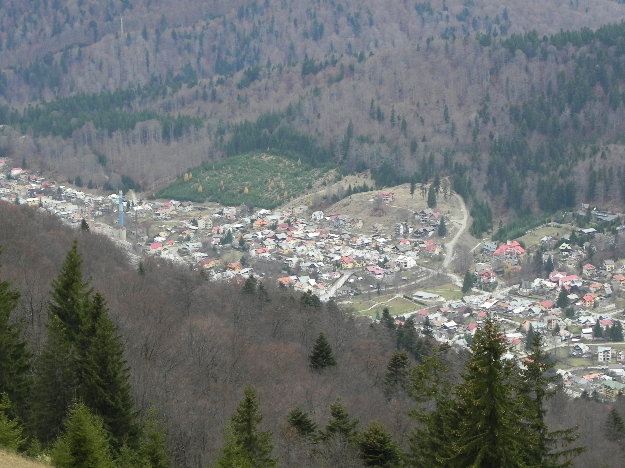 DSCN8125.JPG