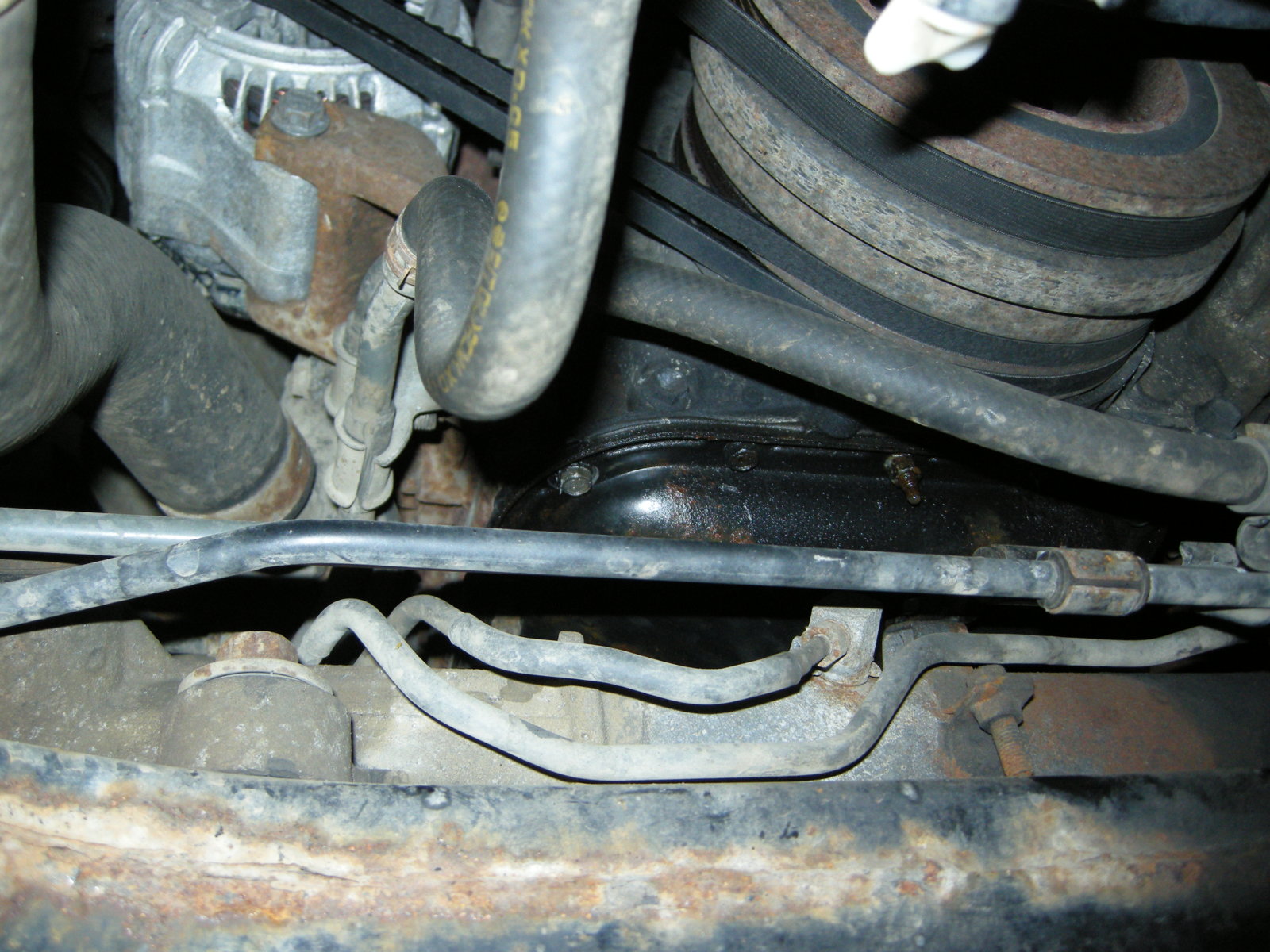 DSCN8318.JPG