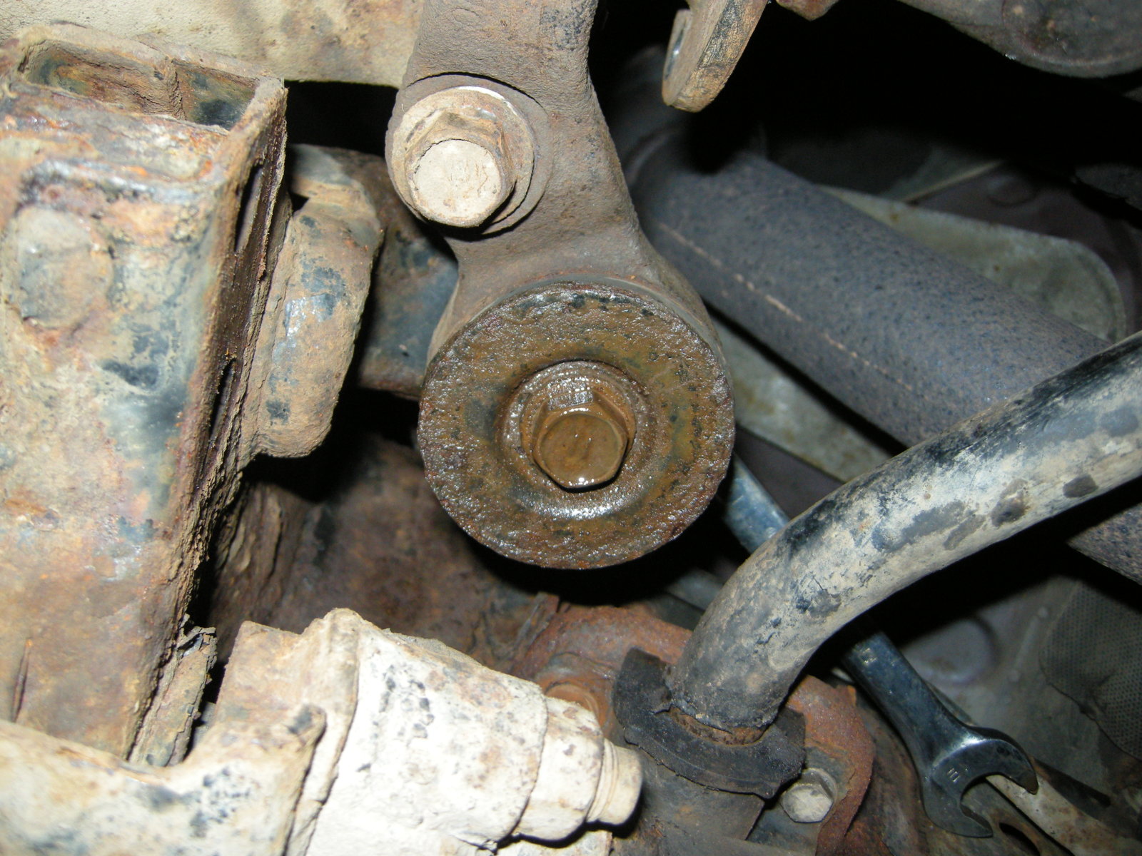 DSCN8337.JPG