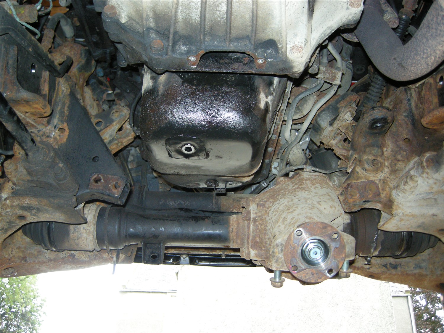 DSCN8345.jpg