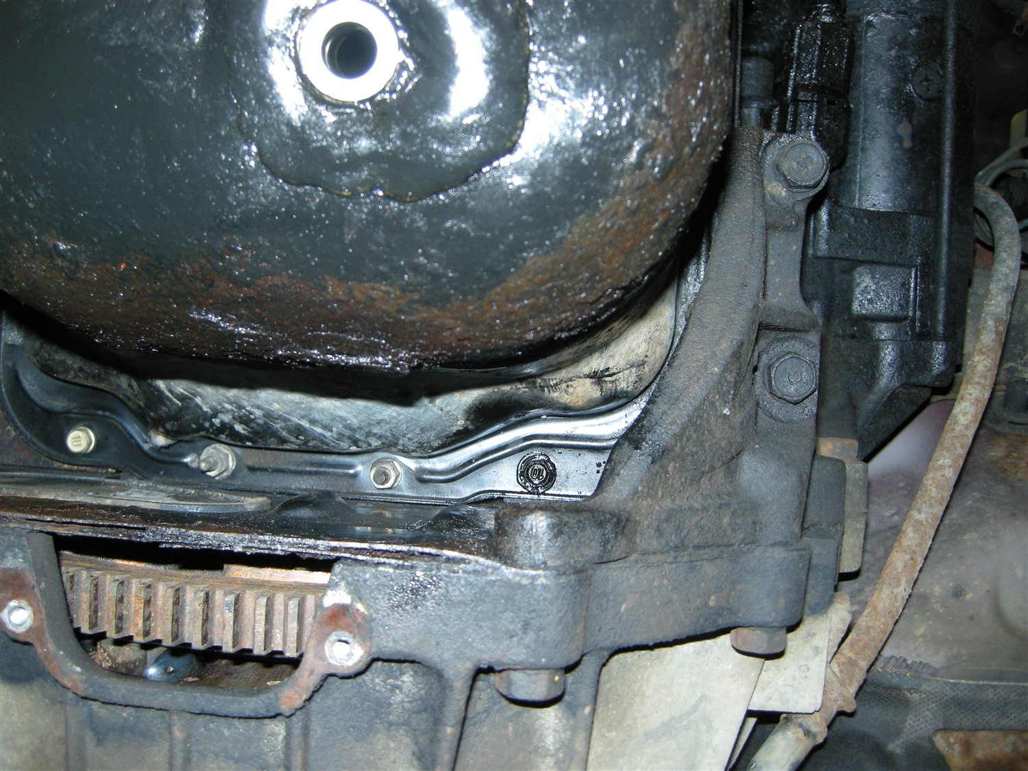 DSCN8347.jpg