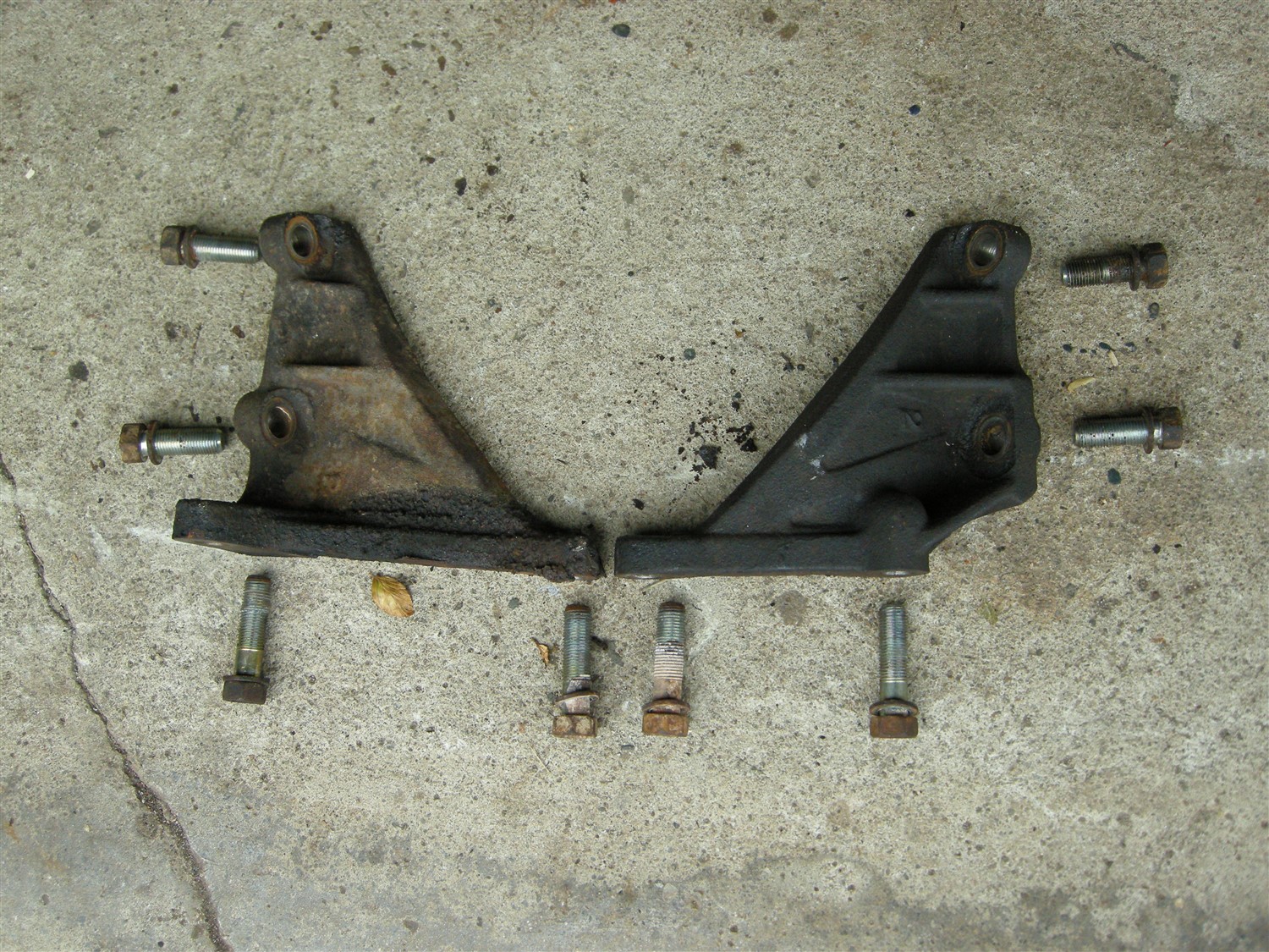 DSCN8350.jpg