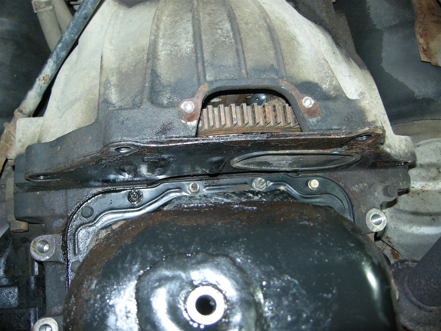 DSCN8352.jpg