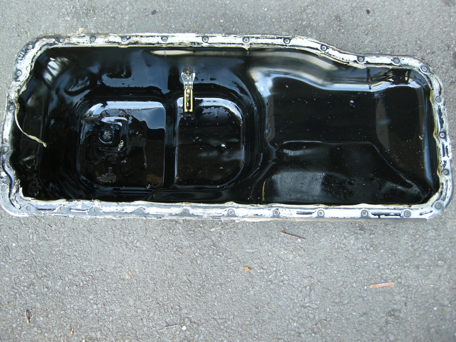 DSCN8363.JPG
