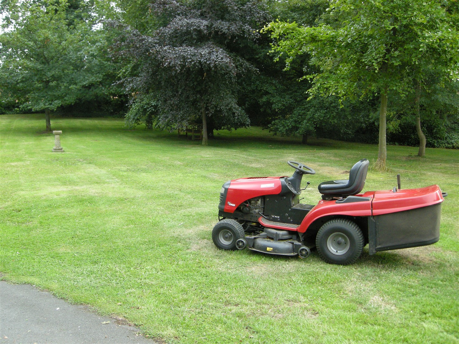DSCN8378.jpg