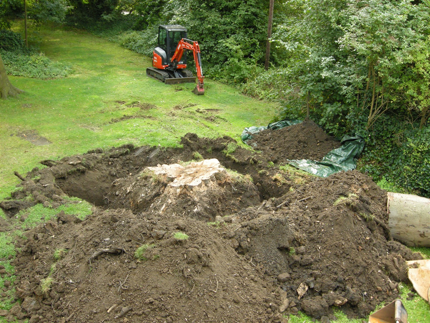 DSCN8445.jpg
