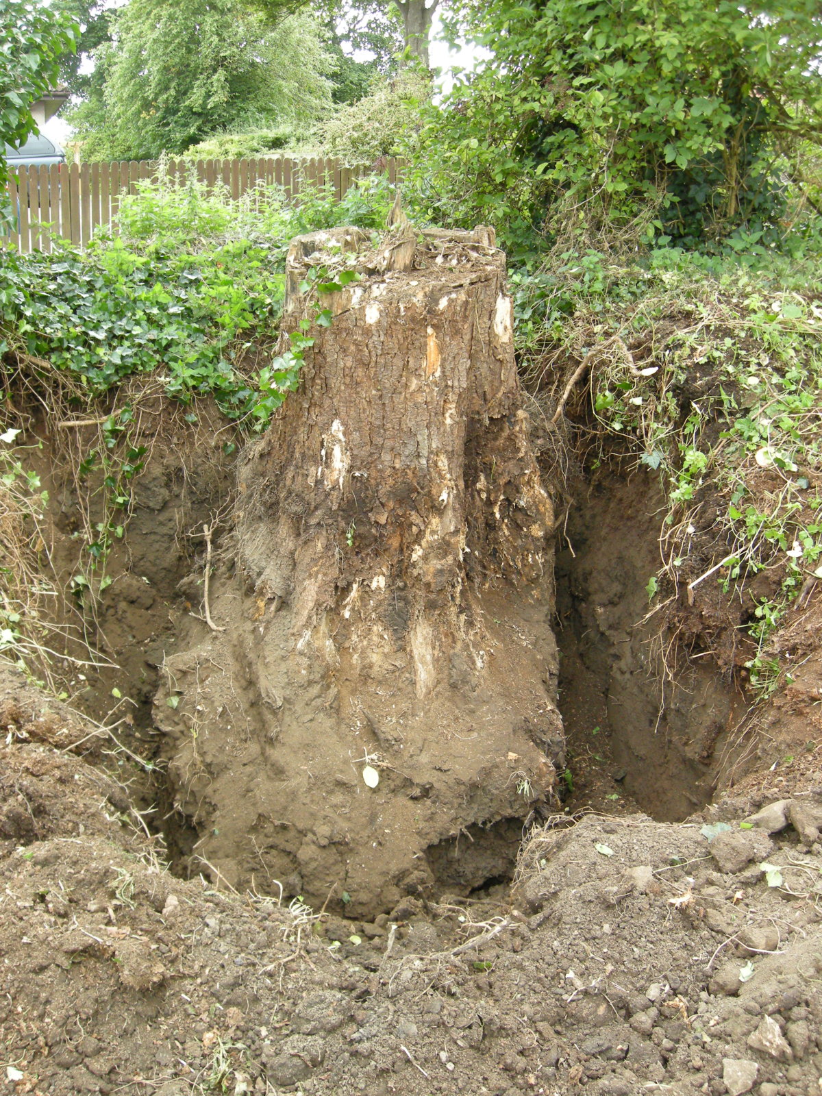 DSCN8470.JPG