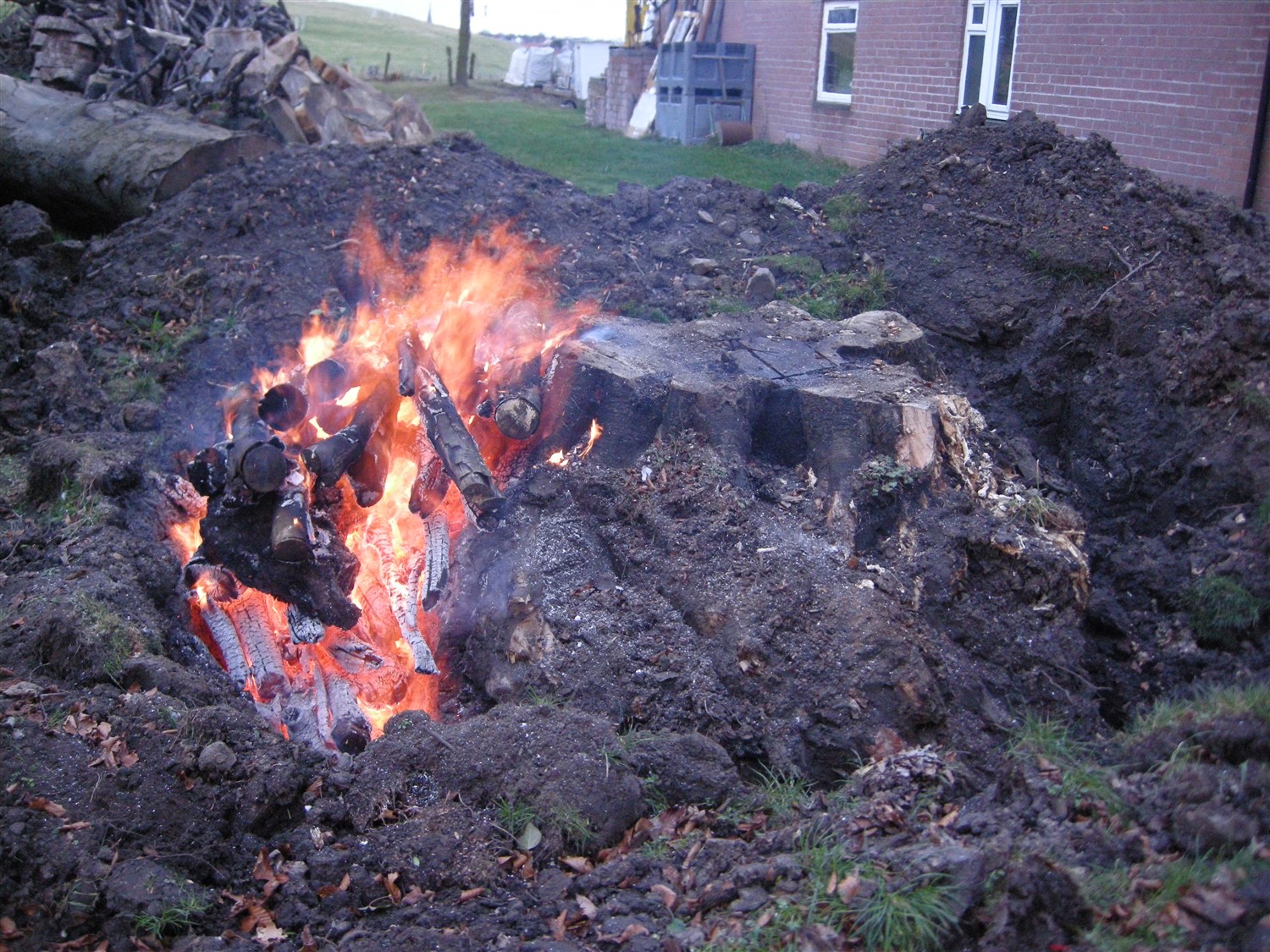 DSCN8593.jpg