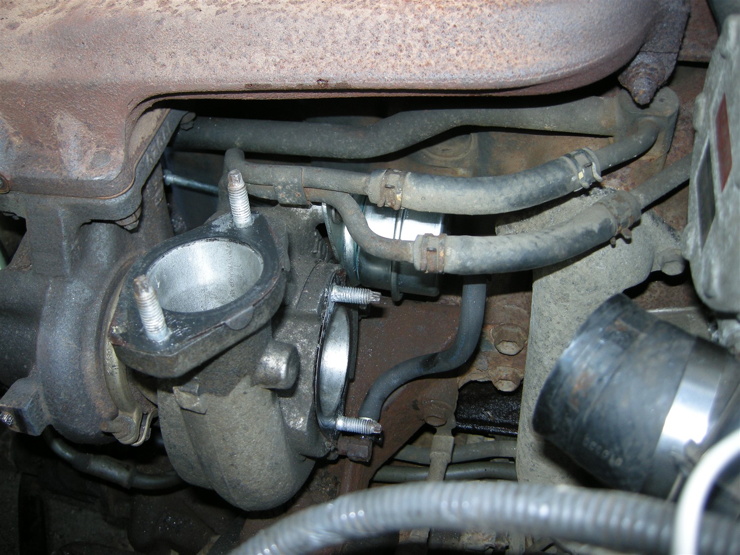 DSCN9678.jpg