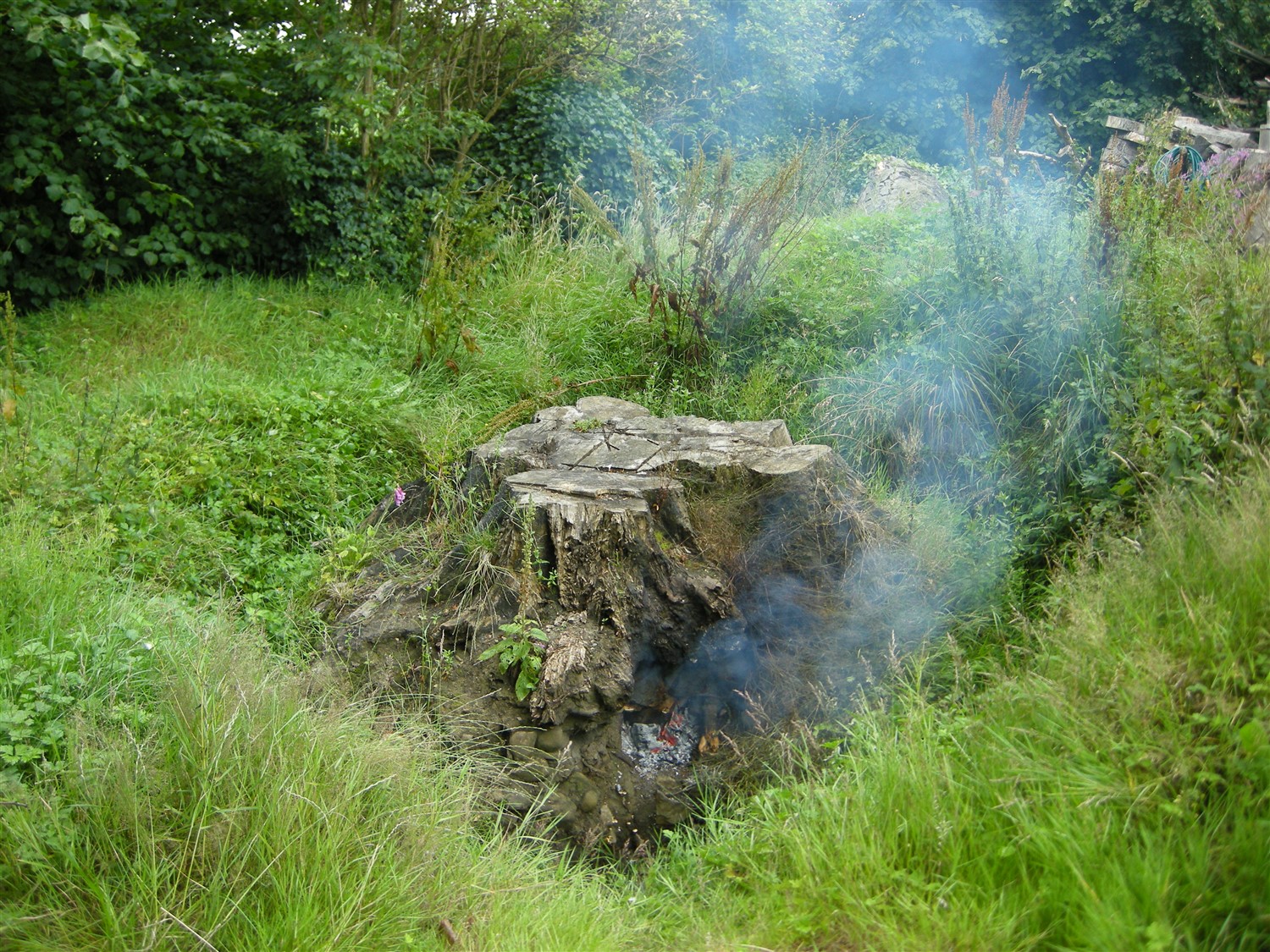 DSCN9685.jpg