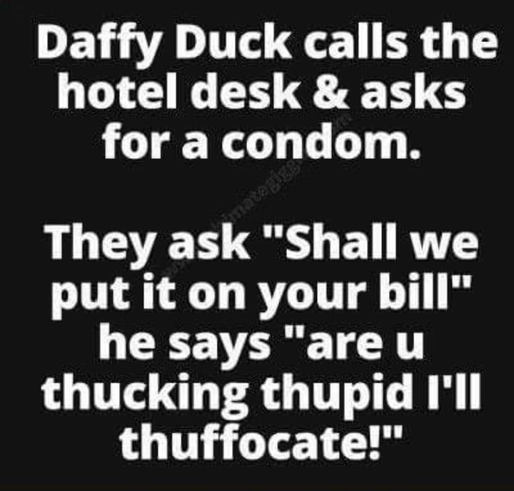 duck.jpg
