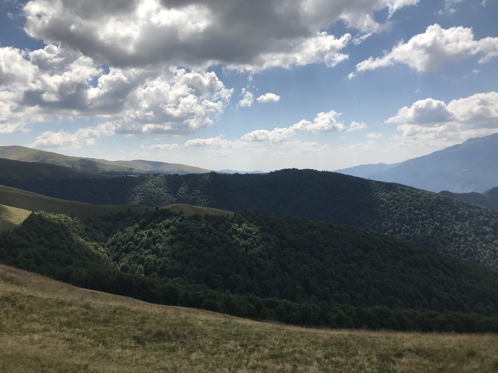 E5C7C391-7233-410A-9627-F07723177532.jpeg