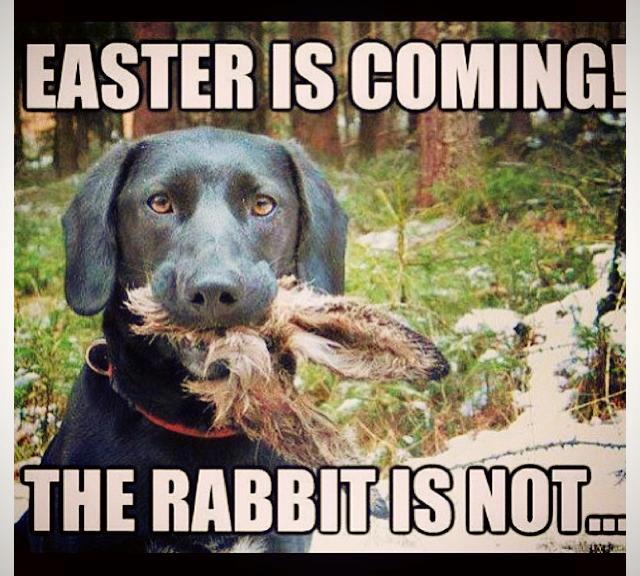 easter.jpg