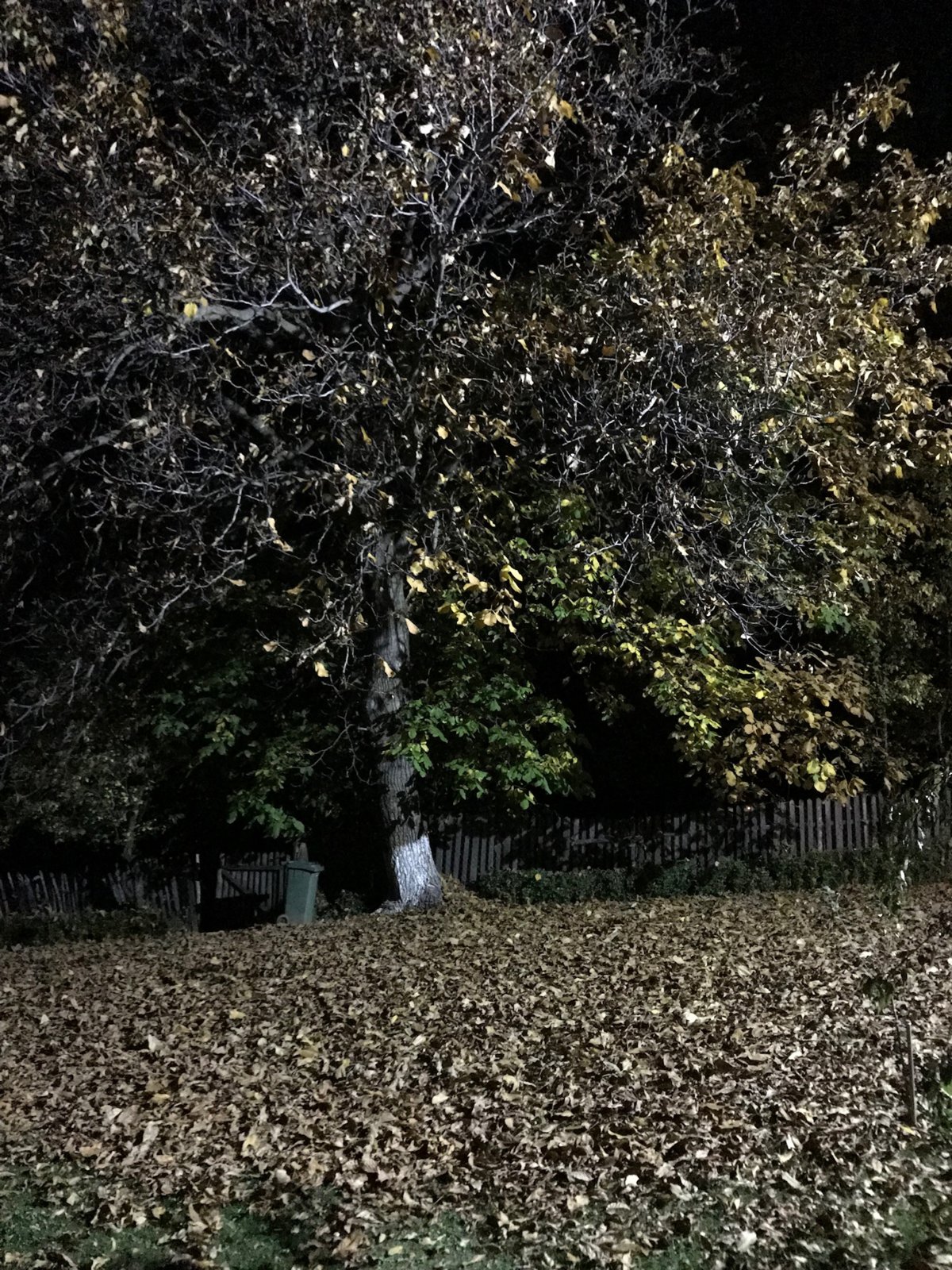EC9910C4-0395-49C0-898F-90AD554C727E.jpeg