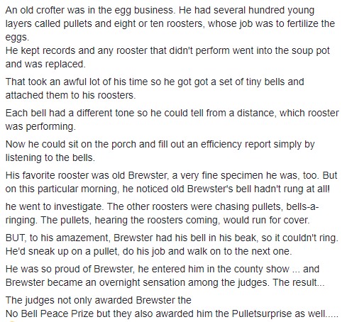 eggs.jpg