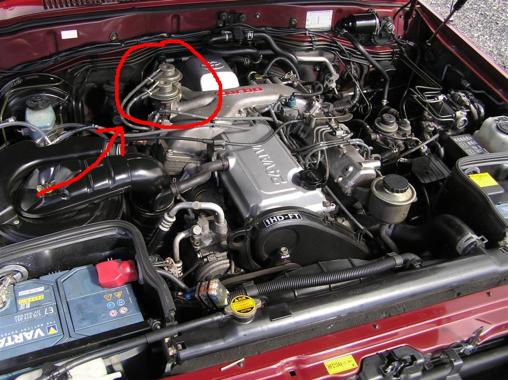 EGR_zps89a31682.jpg