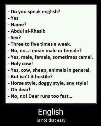 English.jpg